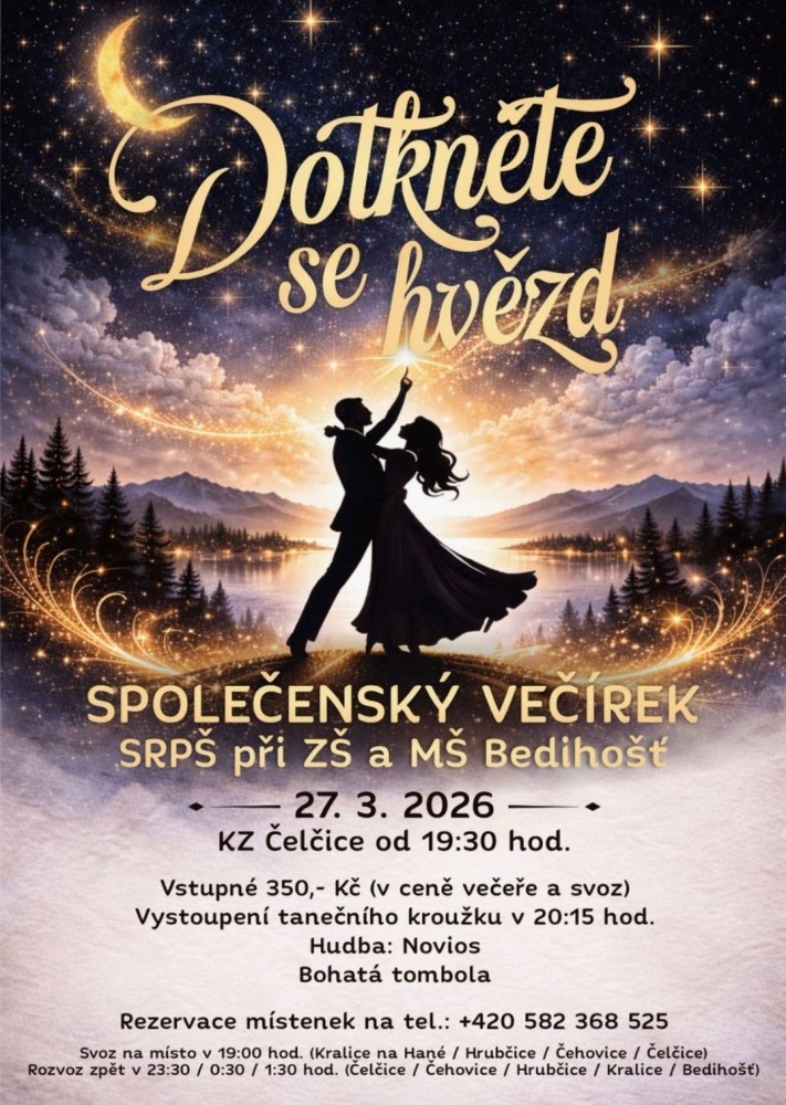 Společenský večírek